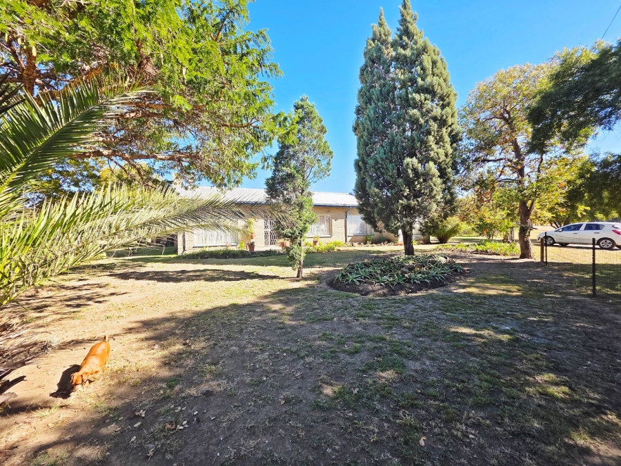 3 Bedroom Property for Sale in Oranjeville Free State